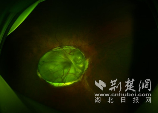 微信截图_20250514204238_副本.jpg