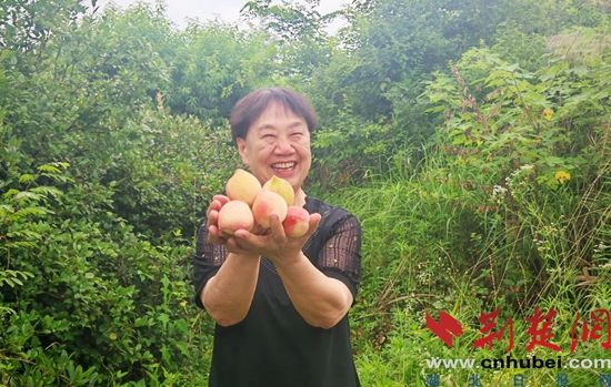 图片1.jpg.jpg