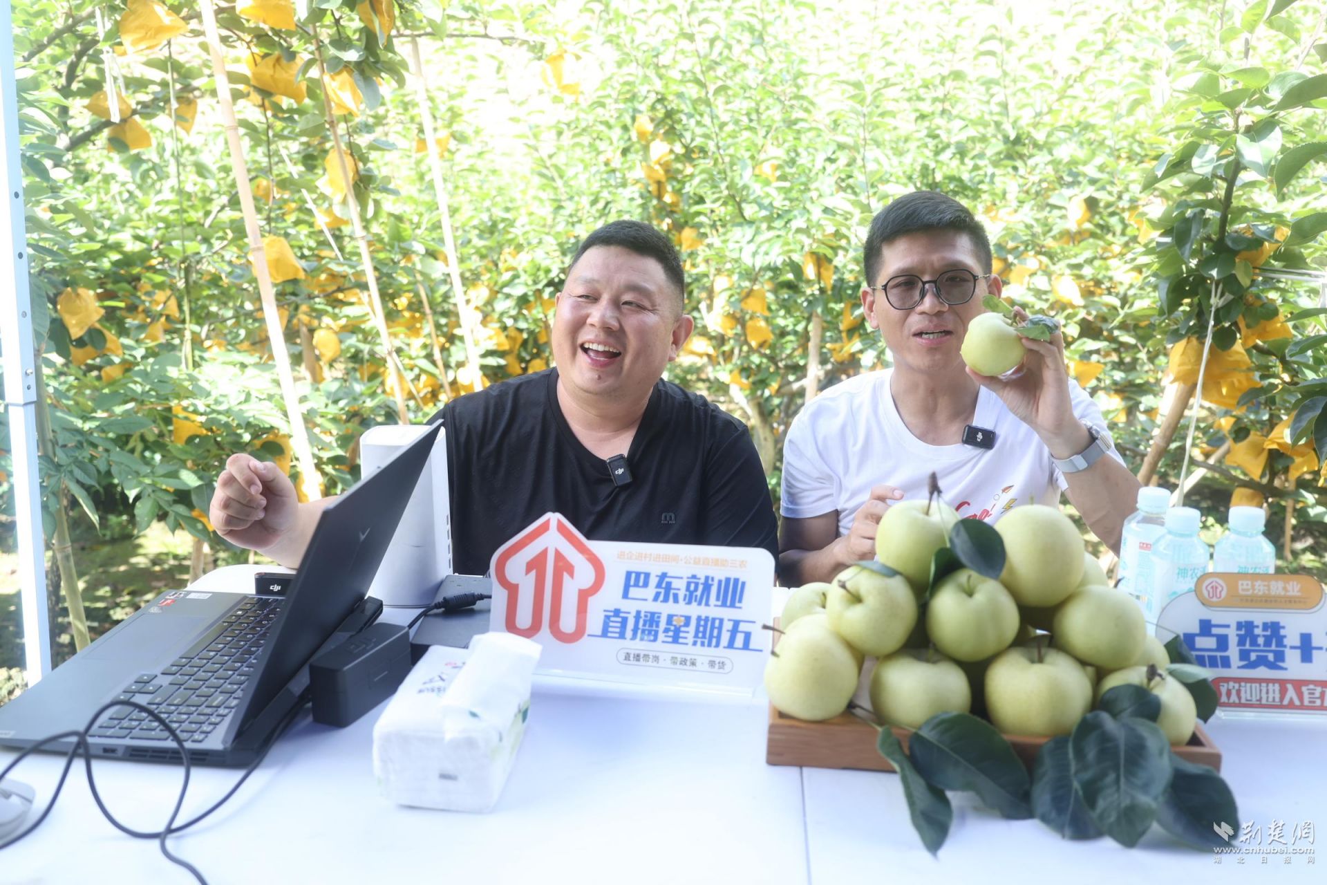 正在上传...
