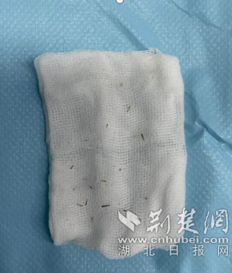 wechat_2025-09-10_204154_926_副本.png