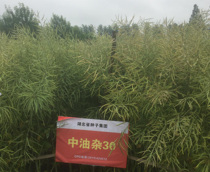 正在上传...