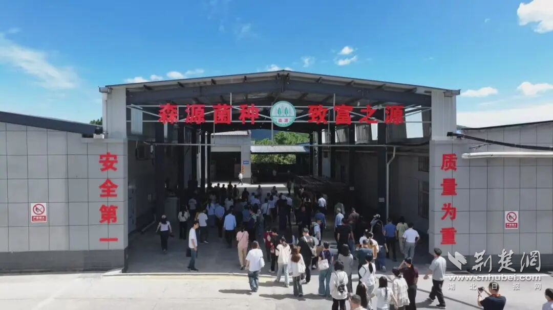 图片1.png.png