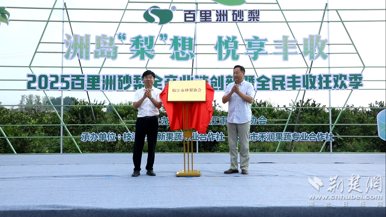 枝江市砂梨产业协会揭牌。枝江融媒供图.png.png