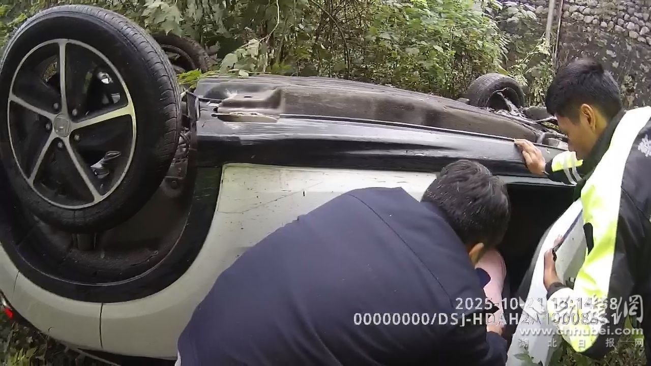 微信图片_20251023132410_62_193.jpg.jpg