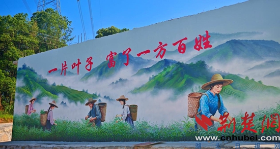 图片2.jpg
