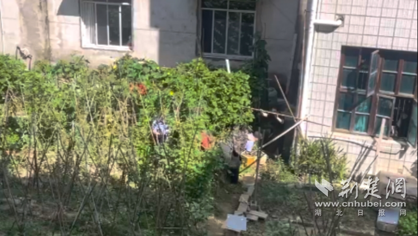 正在上传...