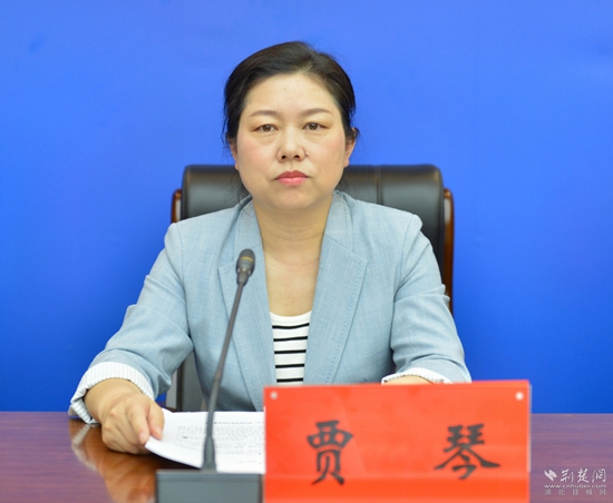 贾琴.jpg