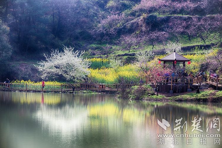 13沼山古村桃乡景区桃花.jpg.jpg